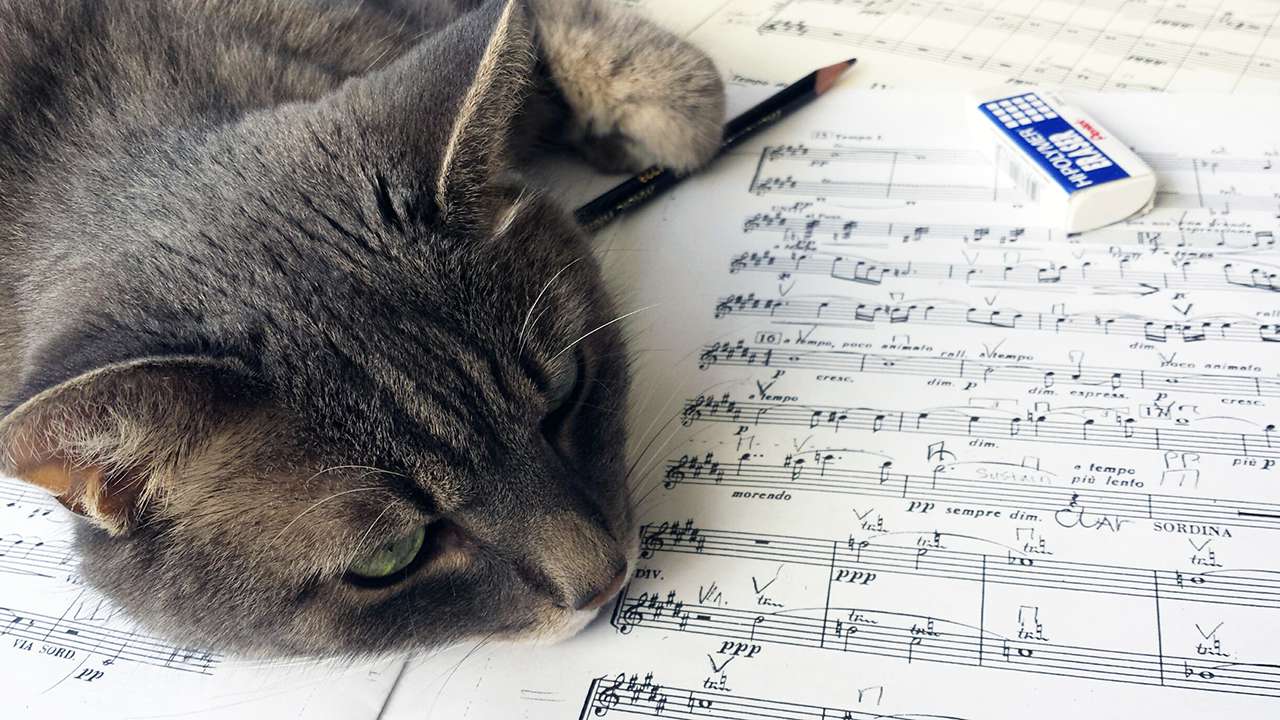 bowing for mahlers