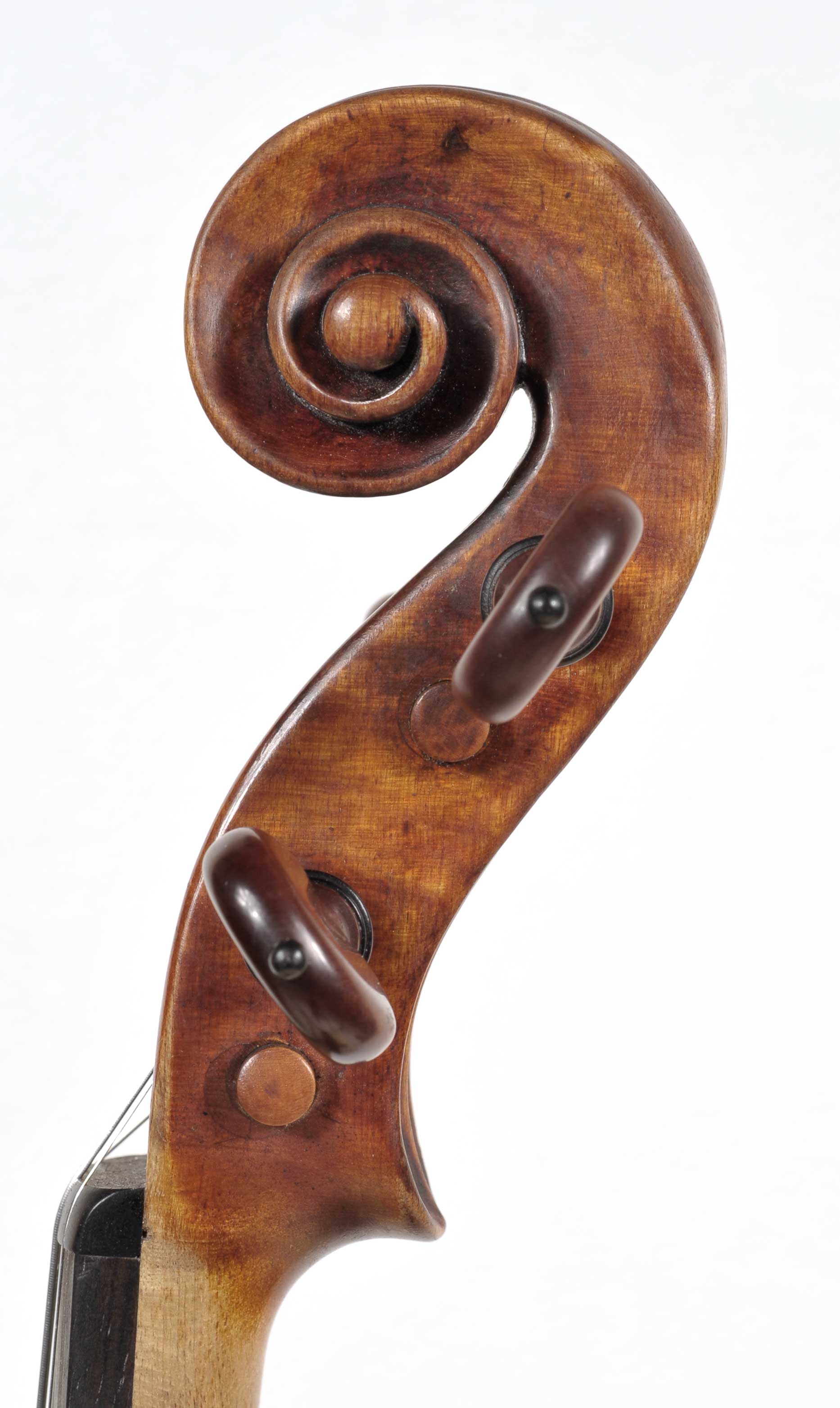 head of violin