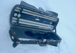 stradivarius_case