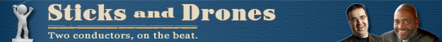sticksanddrones-2010